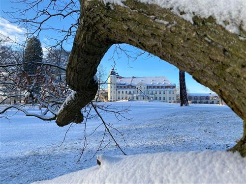 Ferielejlighed - 2 personer -  - Schlosstraße - 17213 - Göhren-Lebbin