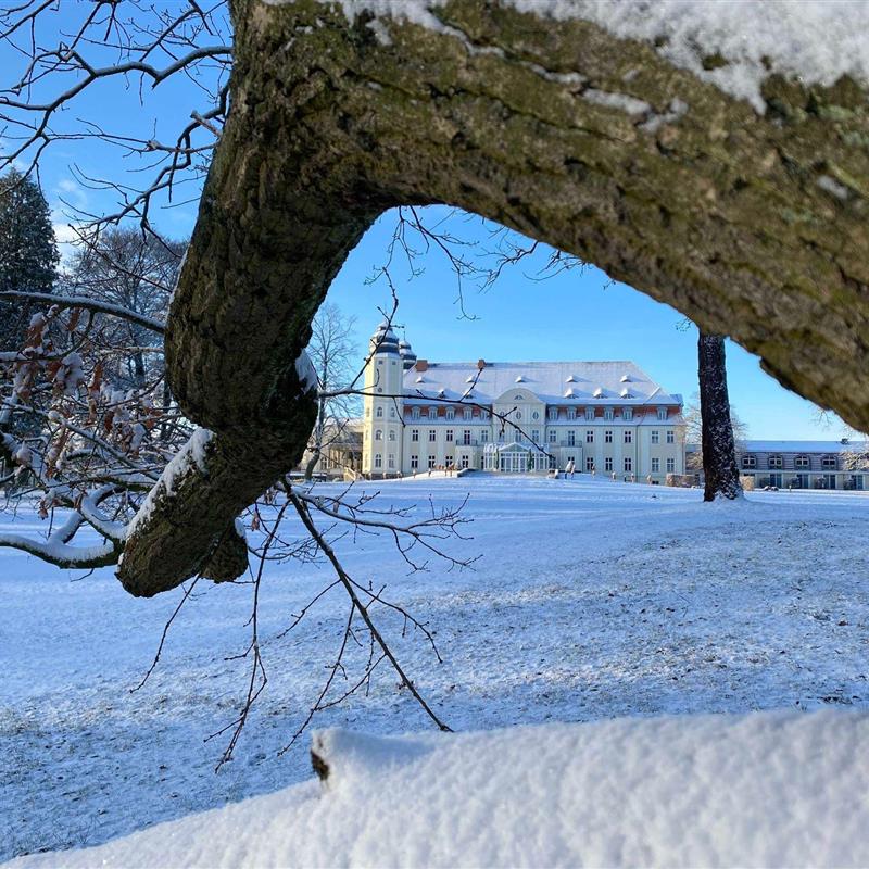 Ferielejlighed - 2 personer -  - Schlosstraße - 17213 - Göhren-Lebbin
