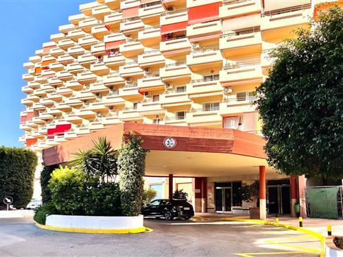 Ferieleilighet - 3 personer -  - 29620 - Torremolinos