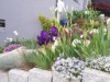 Image 19 - Outside