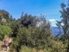 Billede 13
