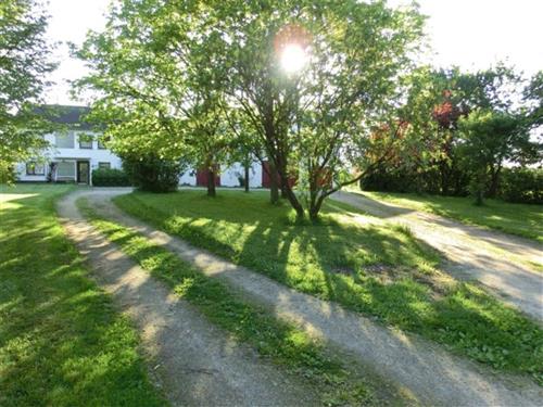 Ferieleilighet - 4 personer -  - Lindenhof - 56865 - Blankenrath