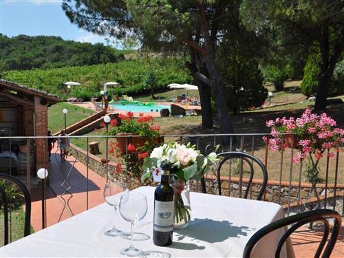 Ferielejlighed - 4 personer -  - Castelnuovo Berardenga - 53019