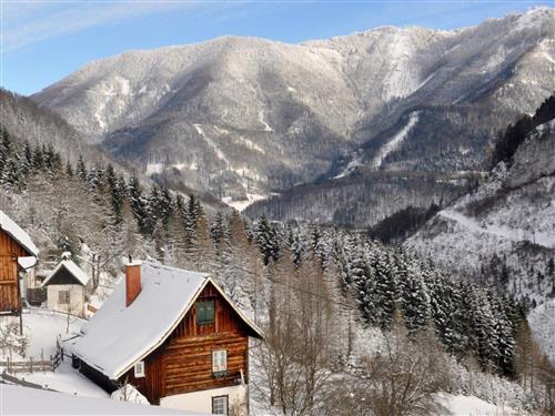 Sommerhus - 6 personer -  - Kleinreifling - 4464