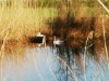 Bild 17