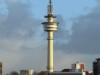 Bild 39