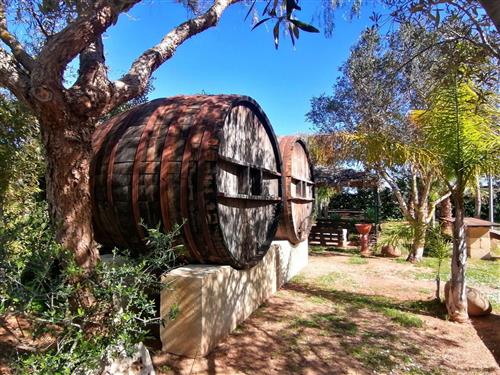 Semesterlägenhet - 2 personer -  - Marsala - 91025