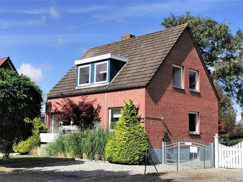 Holiday Home/Apartment - 4 persons -  - Gruber Weg - 23747 - Dahme