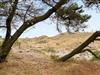 Billede 23 - Grund