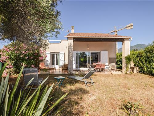 Sommerhus - 6 personer -  - Paesolu - Moriani - 20221 - Prunete