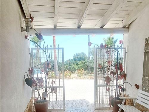 Fritidshus - 6 personer -  - Algoz - 8365