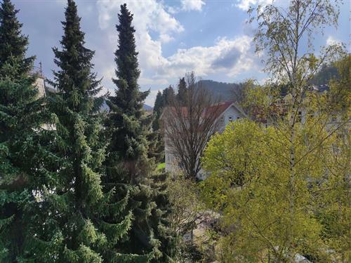 Ferieleilighet - 2 personer -  - Dommesstraße - 38667 - Bad Harzburg