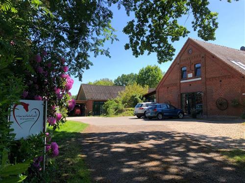 Bondegård - 7 personer -  - Schlußdorfer Straße - 27726 - Worpswede