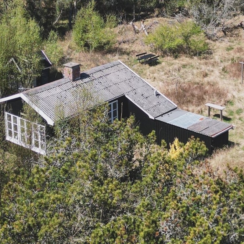 Sommerhus - 4 personer -  - Flagbakkevej - Gl. Skagen - 9990 - Skagen