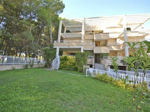 Ferielejlighed - 5 personer -  - 07400 - Puerto De Alcudia
