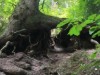 Bild 42