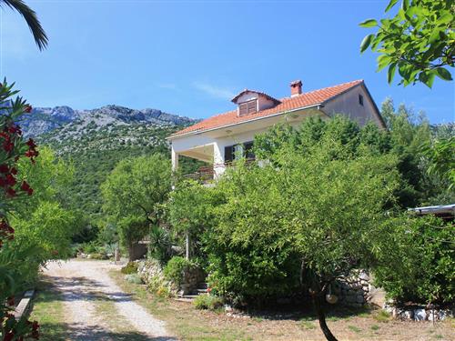 Holiday apartment - 4 persons -  - Put Stankovic 21, Stankovici - 20250 - Orebic