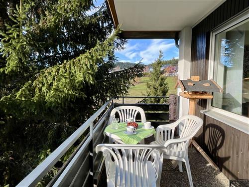 Ferielejlighed - 3 personer -  - Schluchsee - 79859