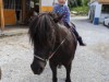 Bilde 81