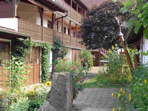 Ferienwohnung - 2 Personen -  - Sandbuckel - 66996 - Fischbach Bei Dahn