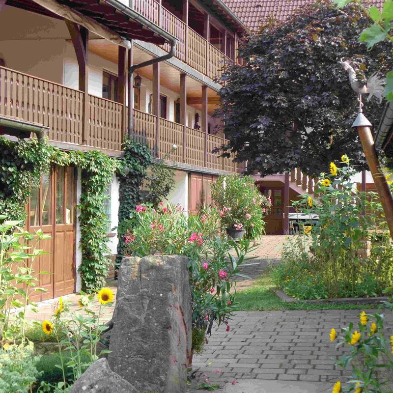 Ferielejlighed - 2 personer -  - Sandbuckel - 66996 - Fischbach Bei Dahn