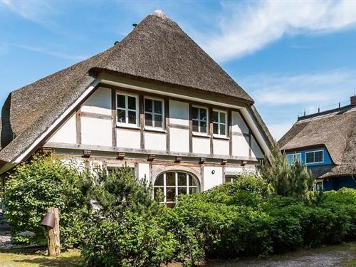 Feriehus - 5 personer -  - Hossbrink - 18375 - Wieck