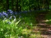 Bild 87 - Aussen