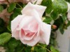 Bild 24
