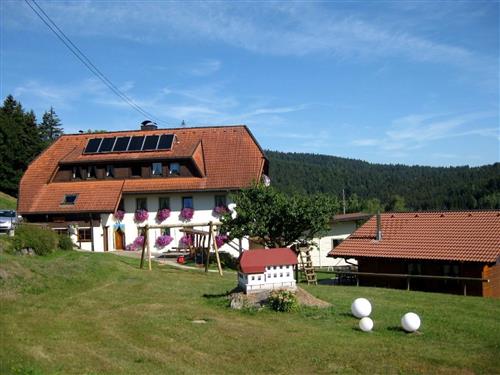 Semesterhus/Semesterlägenhet - 4 personer -  - Schmiedebachstraße - 79875 - Dachsberg (Südschwarzwald