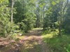 Bild 6 - Ude