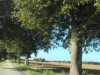 Bild 36
