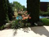 Bilde 4