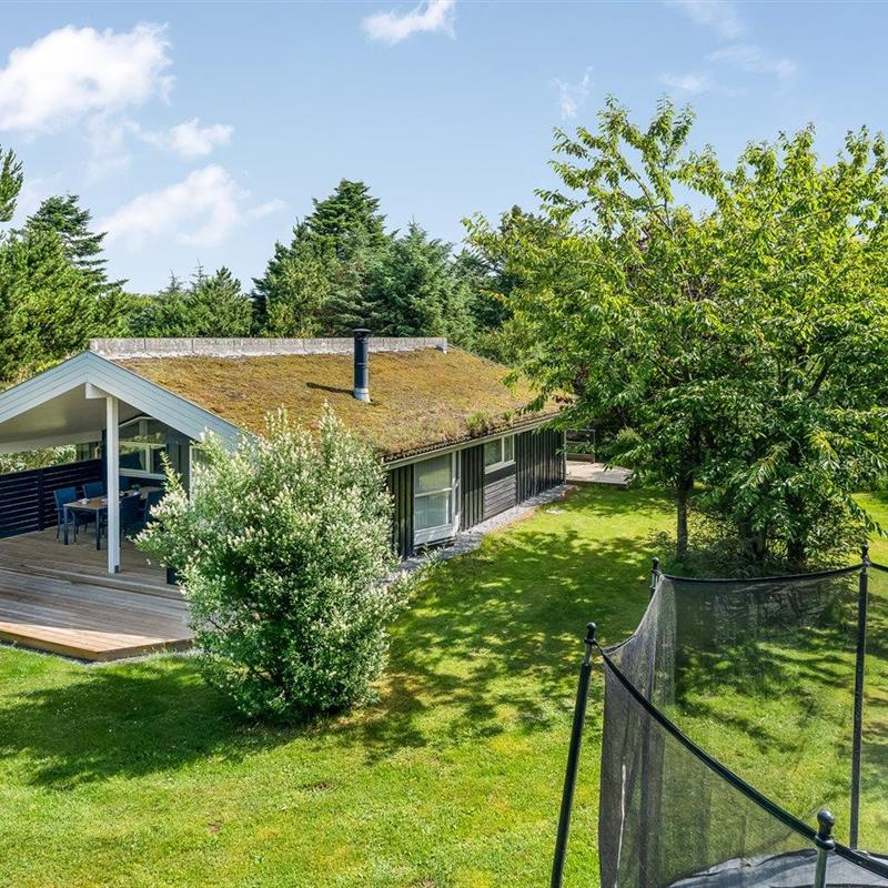 Ferienhaus - 6 Personen -  - Berberisvej - 9492 - Blokhus