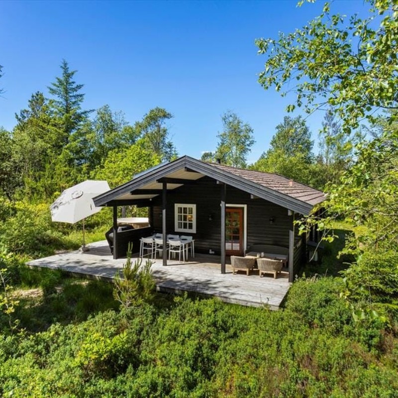 Sommerhus - 6 personer -  - Tyttebærvej - Napstjært - 9981 - Jerup