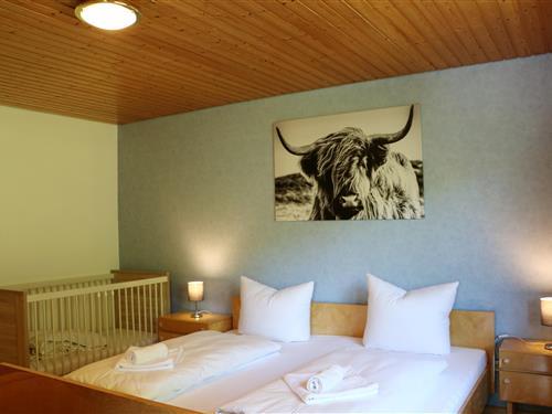 Holiday home - 7 persons -  - Poche - 79674 - Todtnau