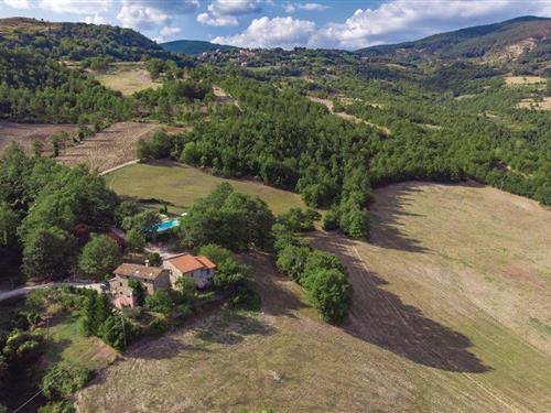 Sommerhus - 8 personer -  - Loc. Segalare - Pieve S. Stefano - 52036 - Pieve S. Stefano Ar