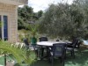 Image 29