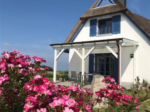 Sommerhus - 4 personer -  - De Poeler Drift - 23968 - Zierow