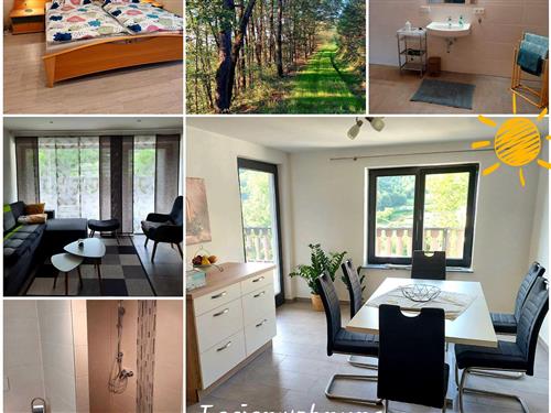 Ferieleilighet - 4 personer -  - Bahnhofstr. - 54649 - Waxweiler