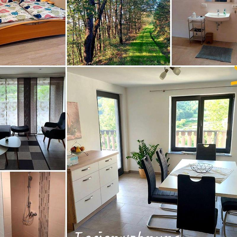 Ferielejlighed - 4 personer -  - Bahnhofstr. - 54649 - Waxweiler