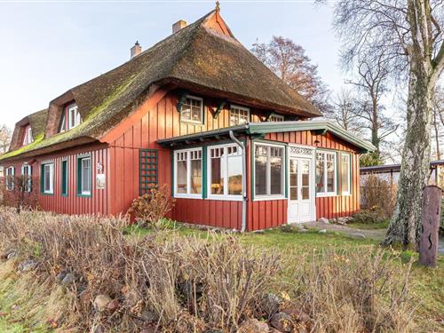Feriehus - 6 personer -  - Krabbenort - 18375 - Prerow