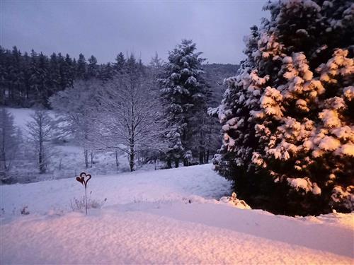 Ferielejlighed - 6 personer -  - Ihrigstraße - 64756 - Mossautal / Unter-Mossau