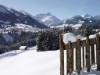 Bild 61