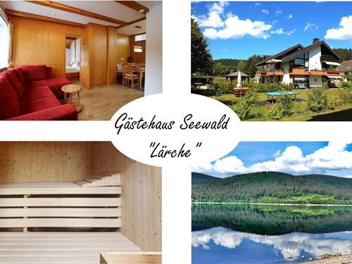 Ferielejlighed - 4 personer -  - Finkenwiese - 79859 - Schluchsee