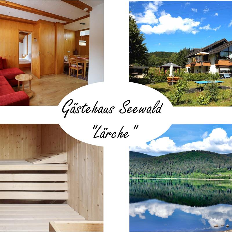 Ferielejlighed - 4 personer -  - Finkenwiese - 79859 - Schluchsee