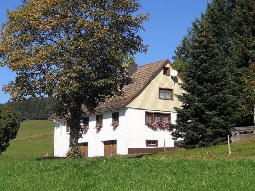 Feriehus - 5 personer -  - 79871 - Eisenbach-Schollach