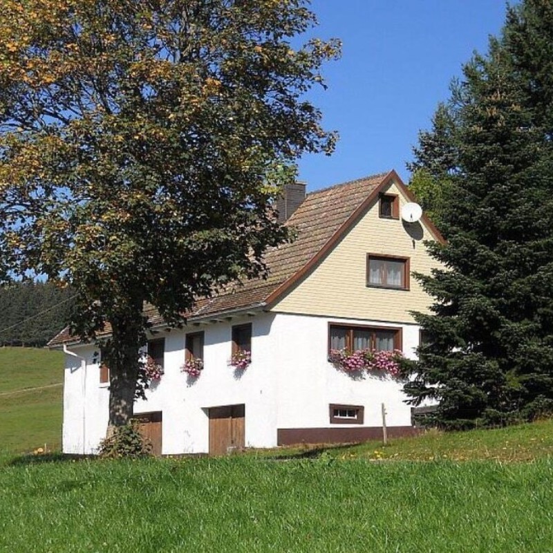Sommerhus - 5 personer -  - 79871 - Eisenbach-Schollach