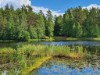 Billede 36 - Udsigt over vand