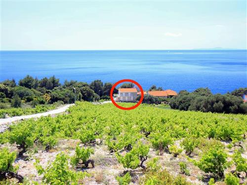 Holiday apartment - 3 persons -  - Dingac - Borak - 20244 - Potomje