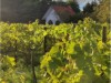 Bild 24